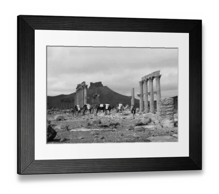 Framed Print : Temple Ruins, Palmyra Framed Print : Temple Ruins, Palmyra