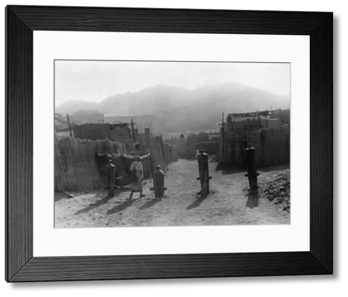 Framed Print : Arabian Canons