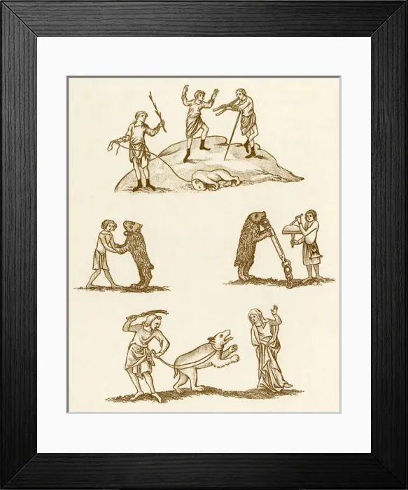 Framed Print : Performing Bears Framed Print : Performing Bears