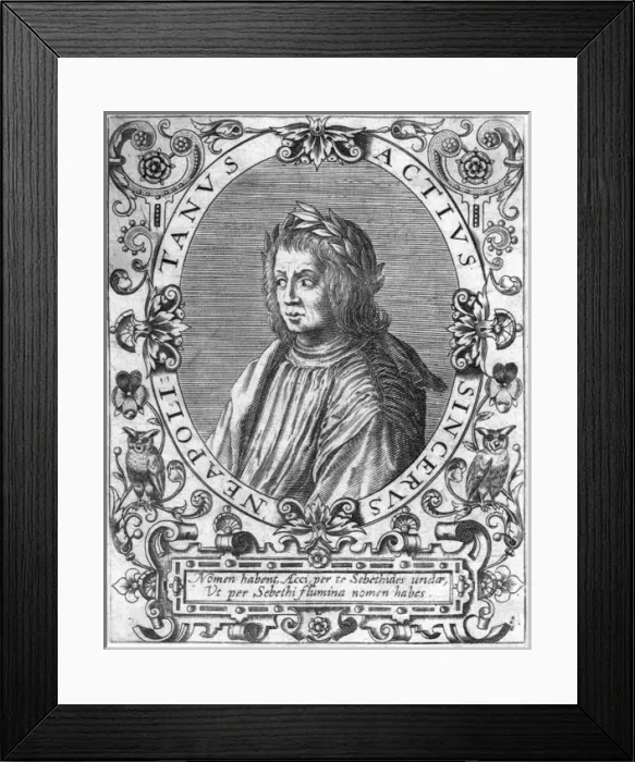 Framed Print : Sincerus Actius Framed Print : Sincerus Actius