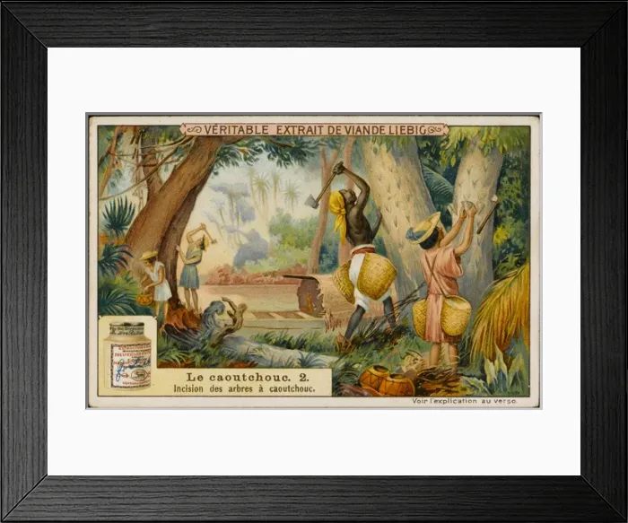 Framed Print : Rubber : Cutting Trees Framed Print : Rubber : Cutting Trees