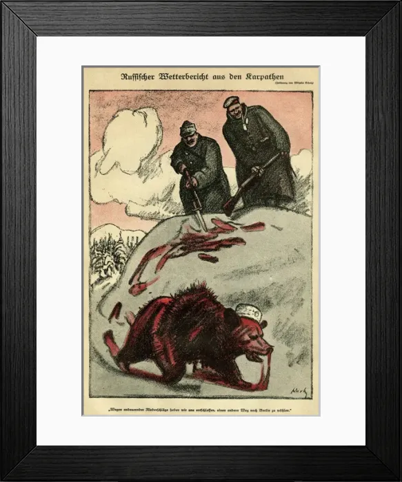 Framed Print : Wounded Russian Bear Framed Print : Wounded Russian Bear