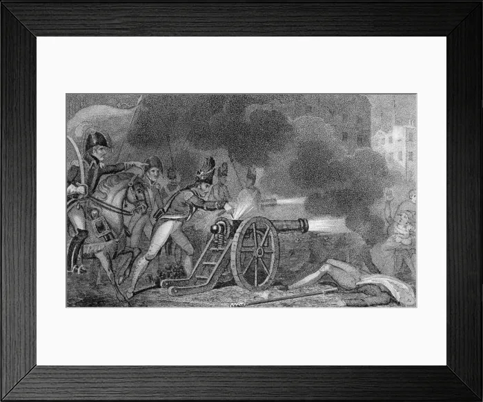 Framed Print : Napoleon and Sections Framed Print : Napoleon and Sections