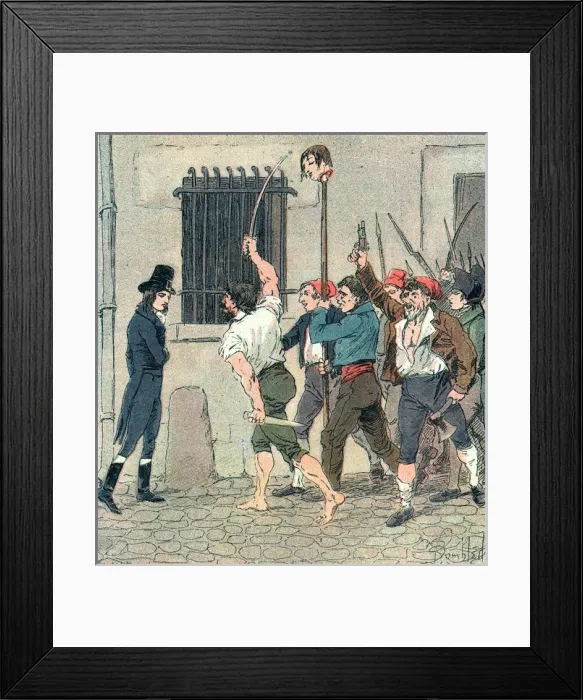 Framed Print : Napoleon & Revolution Framed Print : Napoleon & Revolution