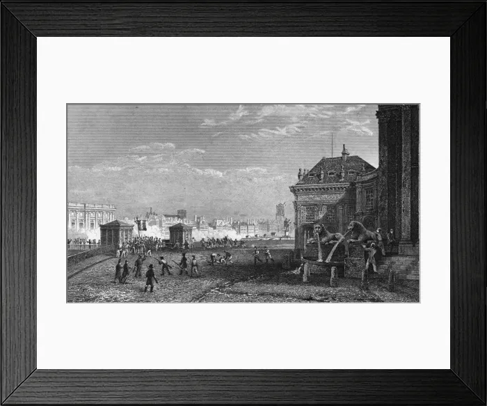 Framed Print : Fighting, Institut Framed Print : Fighting, Institut