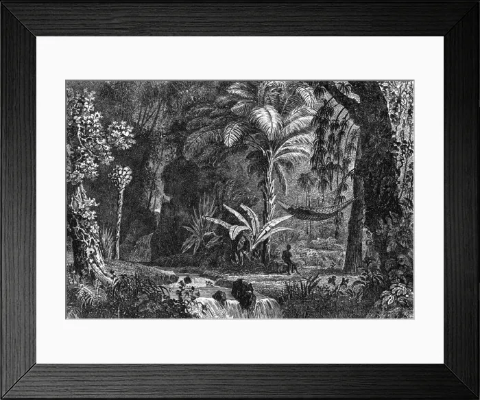 Framed Print : Guyane Francaise Scene Framed Print : Guyane Francaise Scene