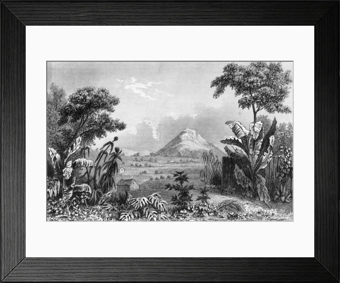 Framed Print : Ecuador Galapagos Framed Print : Ecuador Galapagos