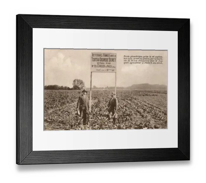 Framed Print : Smoked Sugar Beet plantation at Precy-sur-Oise, France Framed Print : Smoked Sugar Beet plantation at Precy-sur-Oise, France