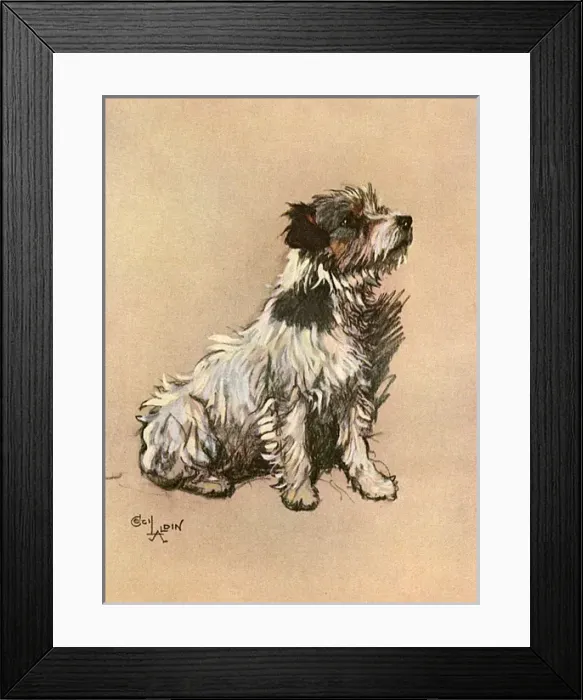 Framed Print : Small terrier -- Little Dog Riley Framed Print : Small terrier -- Little Dog Riley