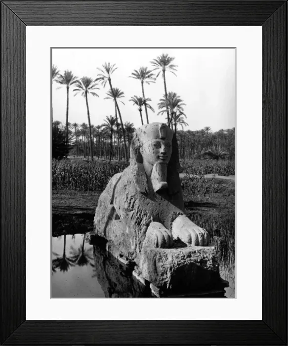 Framed Print : Egypt Memphis Framed Print : Egypt Memphis