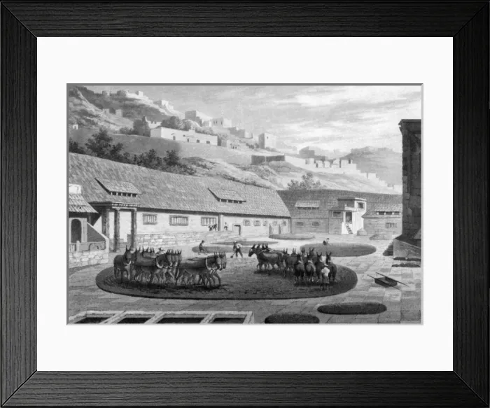 Framed Print : Mexico Salgado Framed Print : Mexico Salgado