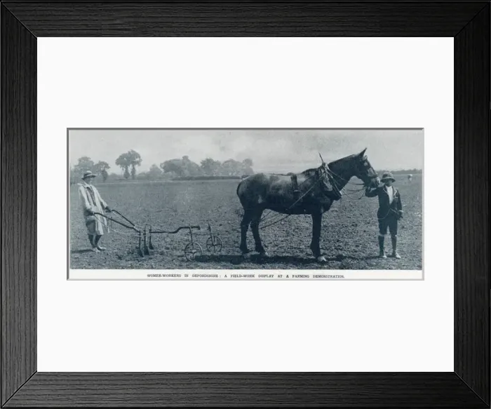 Framed Print : Female agricultural workers in Oxfordshire Framed Print : Female agricultural workers in Oxfordshire