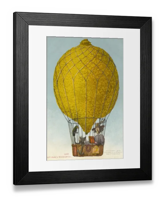 Framed Print : An Old Maids Honeymoon Framed Print : An Old Maids Honeymoon