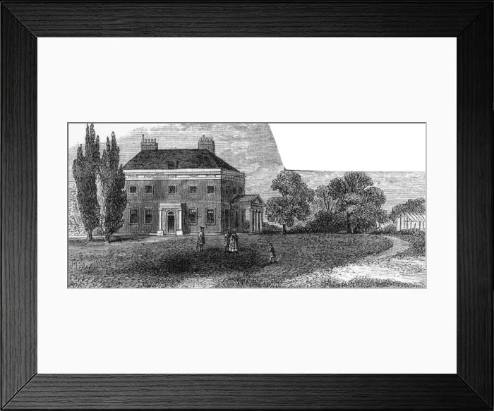 Framed Print : Greenwich Woodlands Framed Print : Greenwich Woodlands
