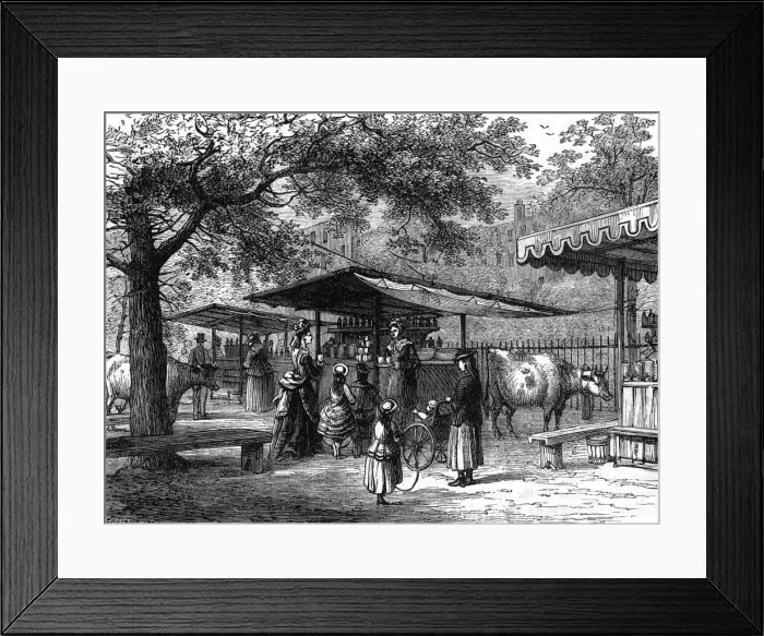 Framed Print : Milk Fair St James Park Framed Print : Milk Fair St James Park