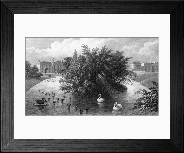 Framed Print : Regents Park Framed Print : Regents Park