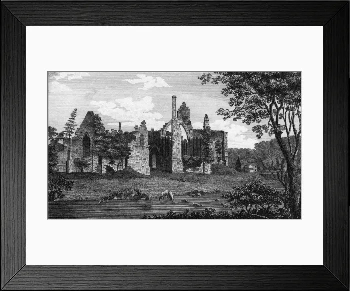 Framed Print : Finchale Priory Framed Print : Finchale Priory
