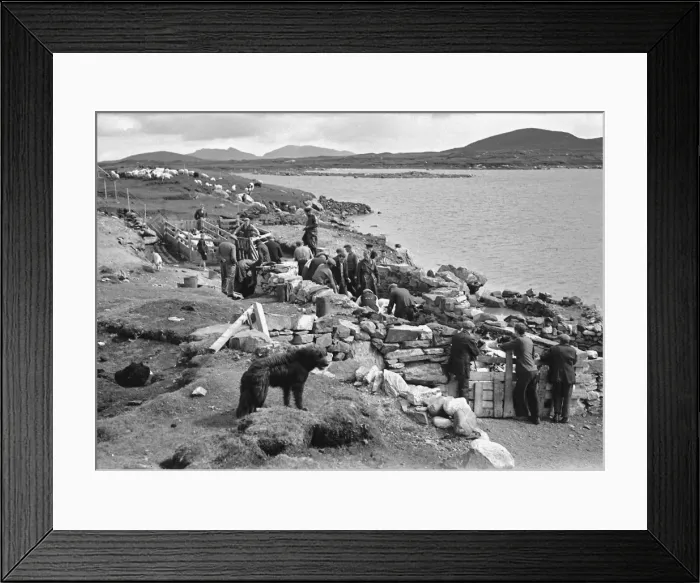 Framed Print : Shepherds at North Uist, Outer Hebrides, Scotland Framed Print : Shepherds at North Uist, Outer Hebrides, Scotland