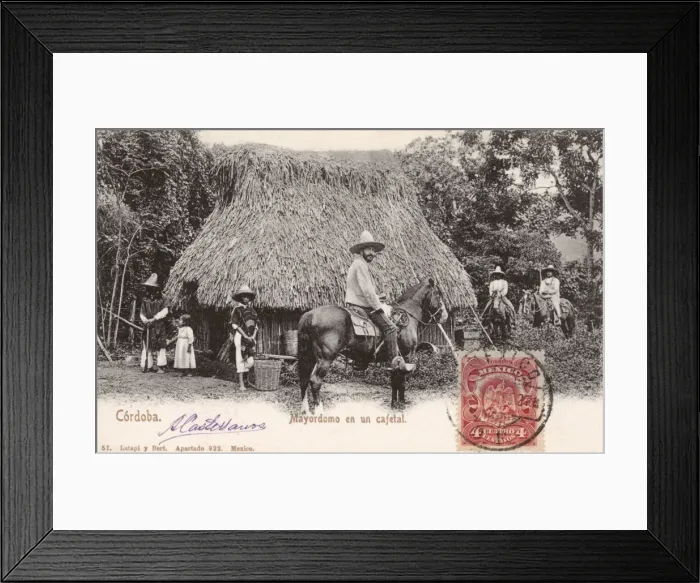 Framed Print : Cordoba, Mexico - A coffee plantation and the owner Framed Print : Cordoba, Mexico - A coffee plantation and the owner
