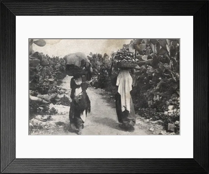 Framed Print : Women carry vegetables through a cactus plantation - Israel Framed Print : Women carry vegetables through a cactus plantation - Israel
