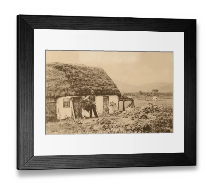 Framed Print : Thatching - Hede, Sweden Framed Print : Thatching - Hede, Sweden