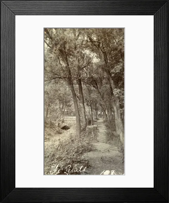 Framed Print : A glade in Tientsin (Tianjin), China Framed Print : A glade in Tientsin (Tianjin), China