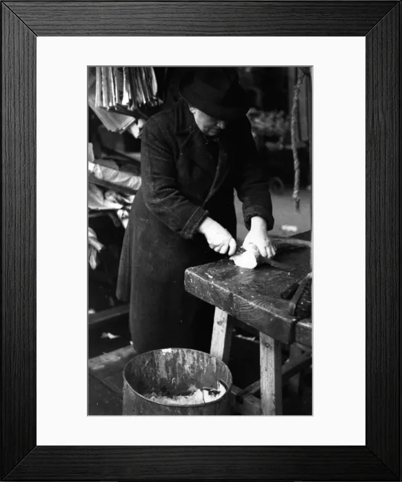 Framed Print : Commercial Fish Preparation Framed Print : Commercial Fish Preparation