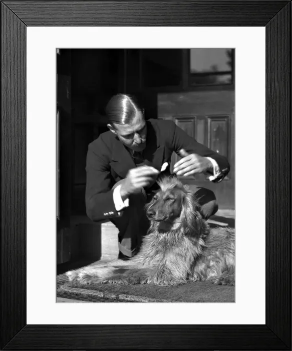 Framed Print : Man grooming a dog Framed Print : Man grooming a dog