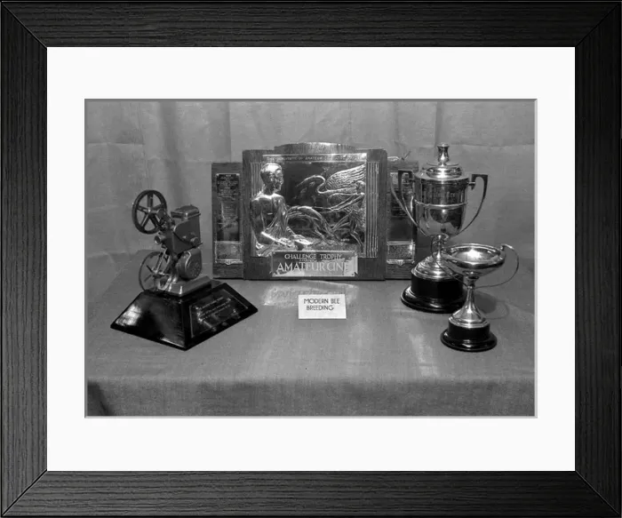 Framed Print : Cinematography trophies on display Framed Print : Cinematography trophies on display