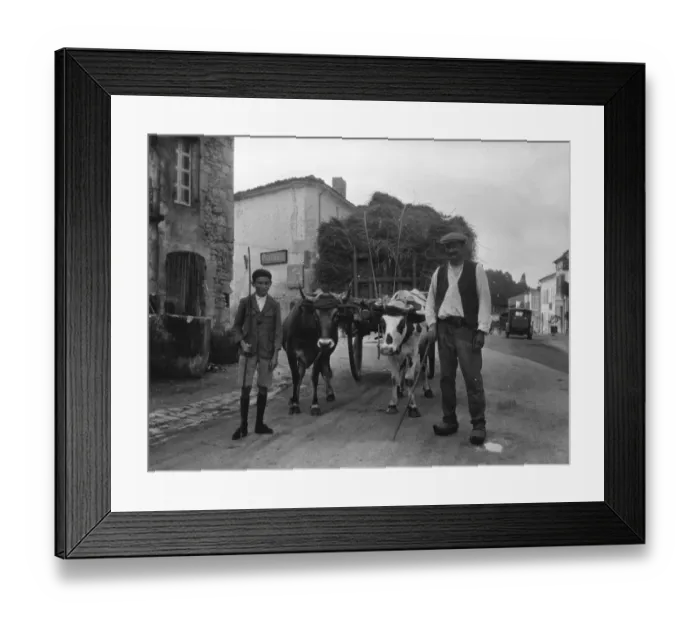 Framed Print : Man and boy with ox cart, France Framed Print : Man and boy with ox cart, France