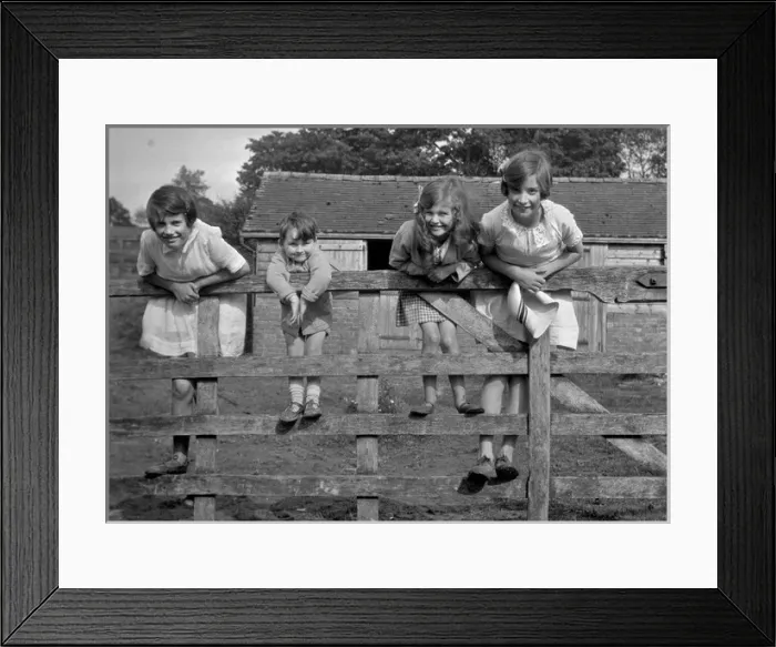 Framed Print : Four children on a fence Framed Print : Four children on a fence