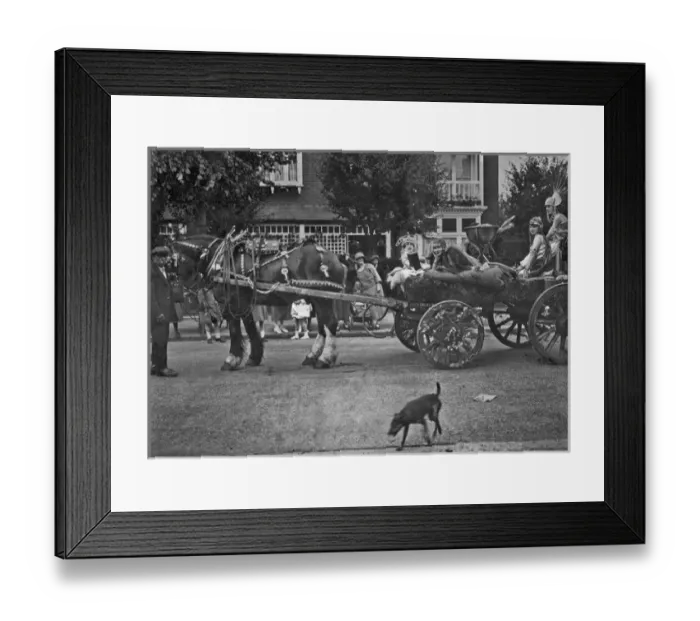 Framed Print : Queen of the Carnival Framed Print : Queen of the Carnival