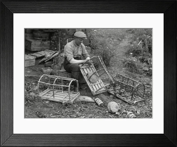 Framed Print : Fisherman repairing lobster pots Framed Print : Fisherman repairing lobster pots