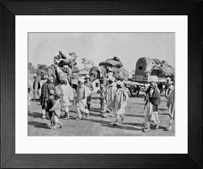 Framed Print : British troops with elephants, India Framed Print : British troops with elephants, India