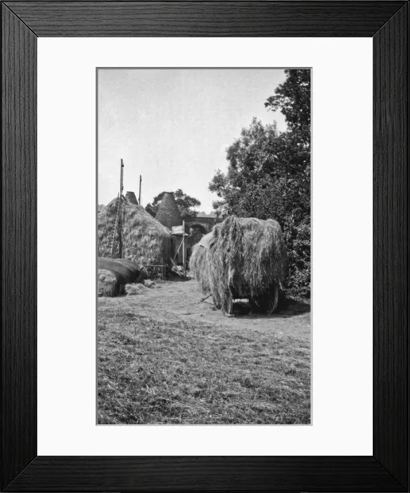 Framed Print : Harvesting scene with laden cart Framed Print : Harvesting scene with laden cart