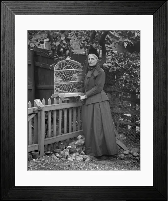 Framed Print : Woman in garden with caged parrot Framed Print : Woman in garden with caged parrot