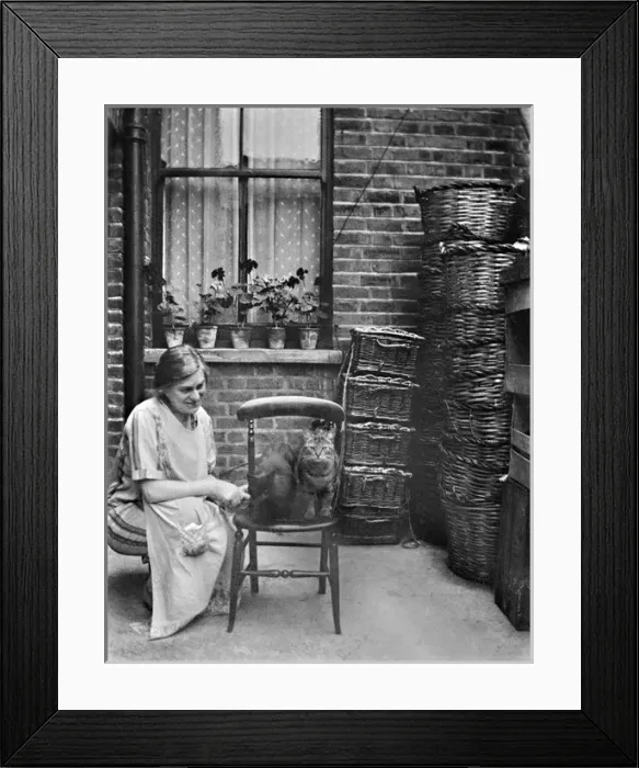Framed Print : Woman in back yard with two cats Framed Print : Woman in back yard with two cats