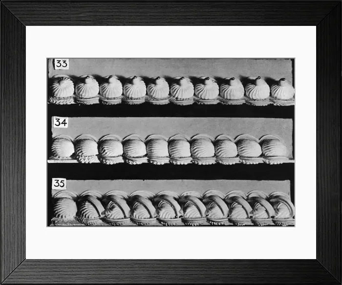 Framed Print : Simple Cake Base Borders Framed Print : Simple Cake Base Borders