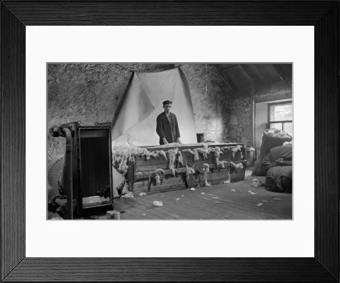 Framed Print : Young man processing wool, Scotland Framed Print : Young man processing wool, Scotland