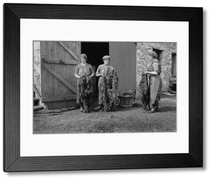 Framed Print : Women textile workers, Scotland Framed Print : Women textile workers, Scotland