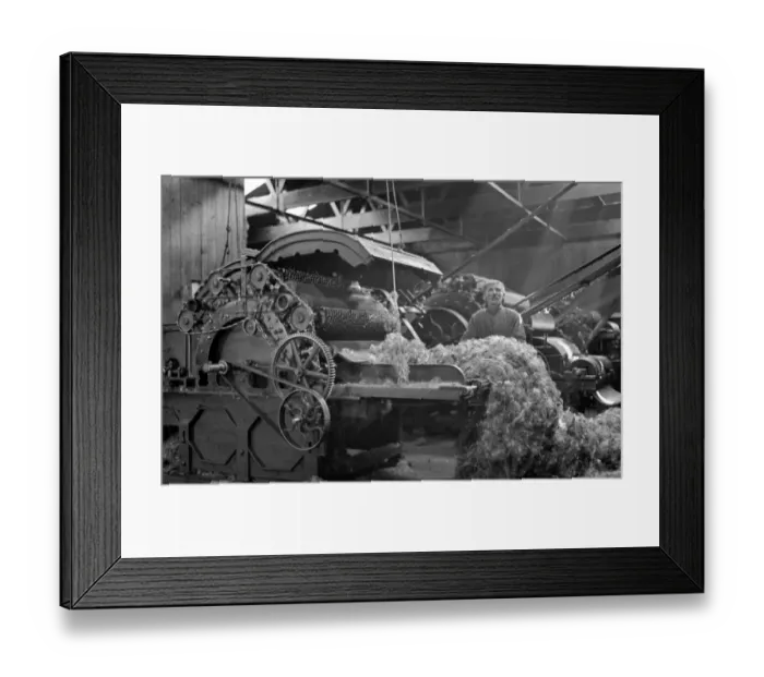 Framed Print : Man in textile industry operating machine, Scotland Framed Print : Man in textile industry operating machine, Scotland