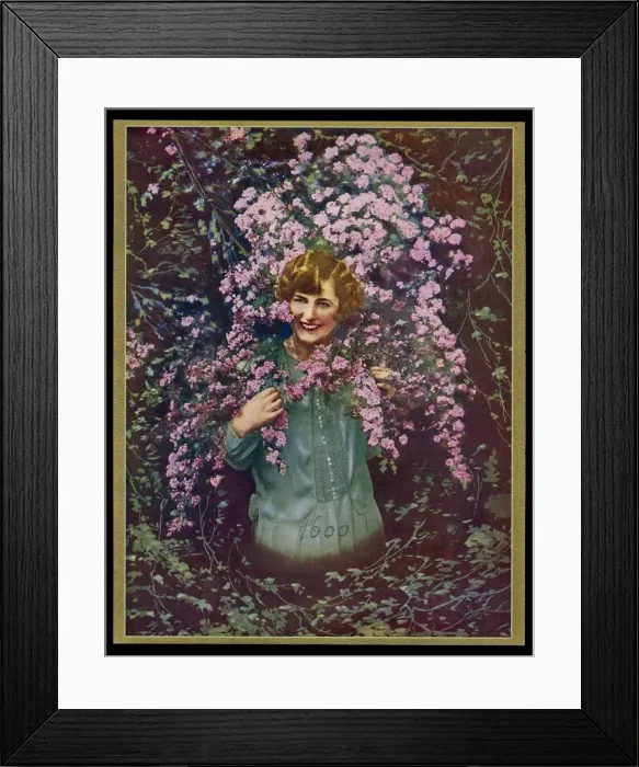 Framed Print : Chocolate box design, woman with pink flowers Framed Print : Chocolate box design, woman with pink flowers