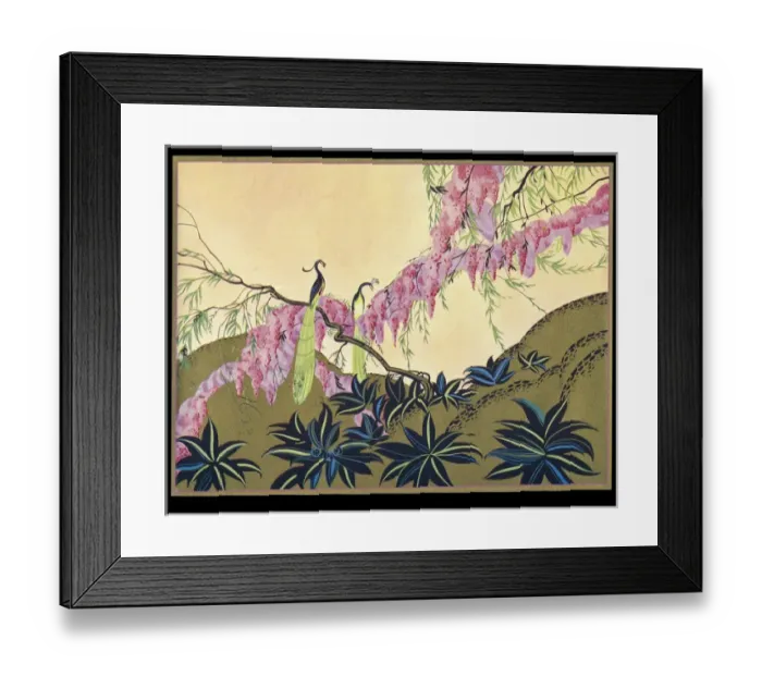 Framed Print : Chocolate box design, peacocks and pink blossom Framed Print : Chocolate box design, peacocks and pink blossom