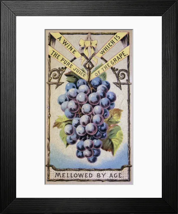 Framed Print : A wine which is the pure juice of the grape Framed Print : A wine which is the pure juice of the grape