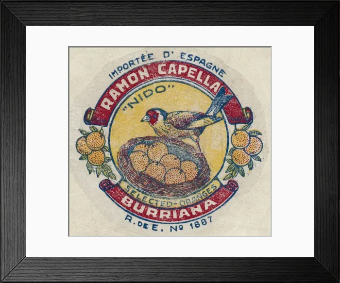Framed Print : Fruit Label -- Spanish oranges Framed Print : Fruit Label -- Spanish oranges
