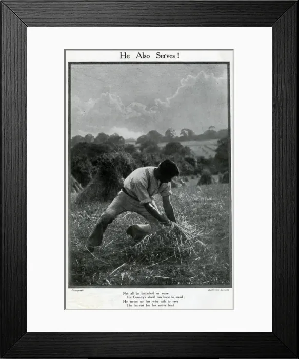 Framed Print : Man harvesting in a field, He Also Serves, WW1 Framed Print : Man harvesting in a field, He Also Serves, WW1