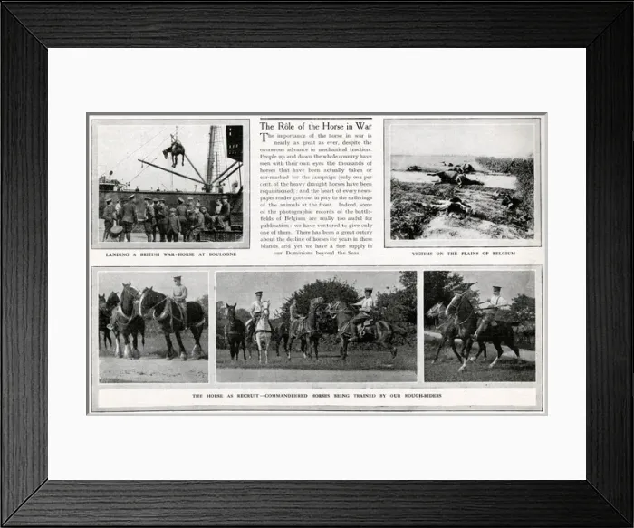 Framed Print : The Role of the horses in WWI 1914 Framed Print : The Role of the horses in WWI 1914