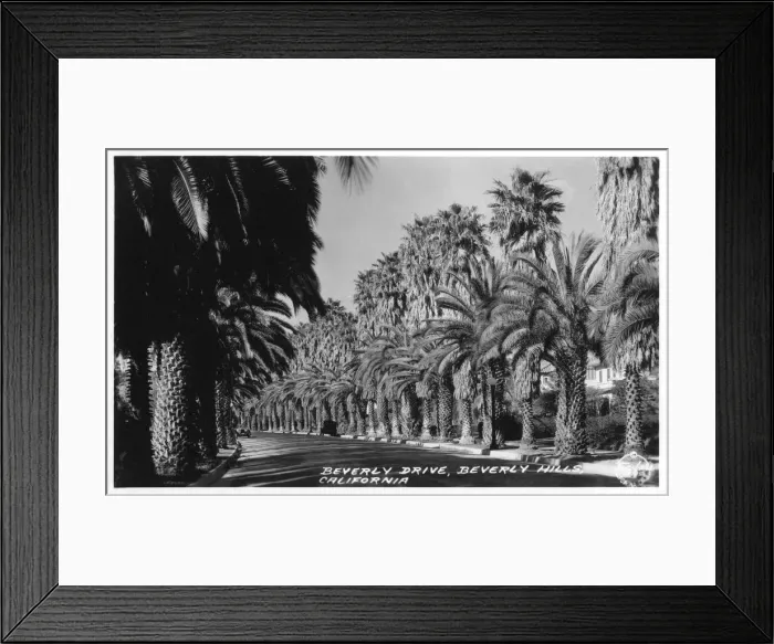 Framed Print : Beverly Drive, Beverly Hills, Hollywood, California, USA Framed Print : Beverly Drive, Beverly Hills, Hollywood, California, USA