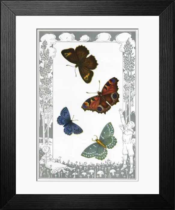 Framed Print : British Butterflies Framed Print : British Butterflies