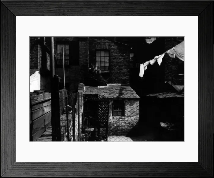 Framed Print : Backyard of a Victorian Terrace Framed Print : Backyard of a Victorian Terrace